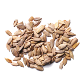 Vitamine B6 (Chlorhydrate de pyridoxine)