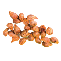 Extrait de pépins de raisin (Vitis Vinifera) riche en OPC Leucoselect®